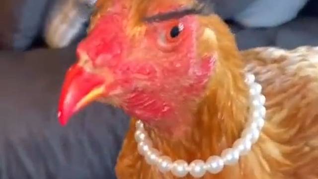 土妞到名媛的蜕变