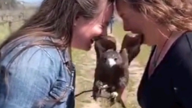 这一幕真的很极限了呢！