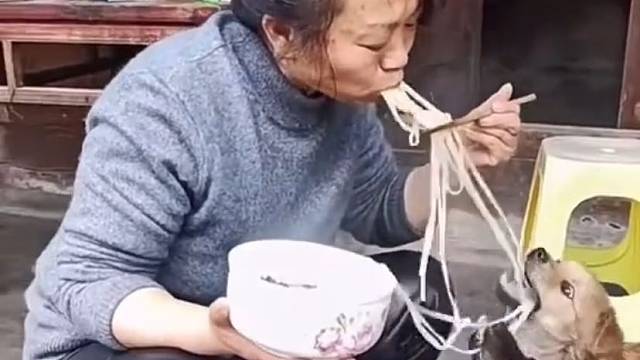 竟敢在母老虎口里夺食，狗子你胆肥了