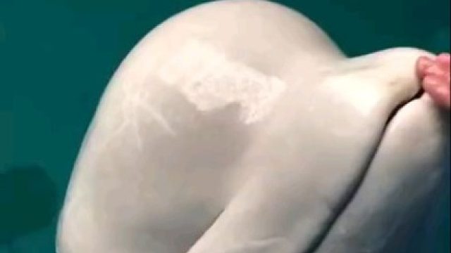 一直以为是硬的…