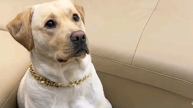 你瞧不起谁？我不要！