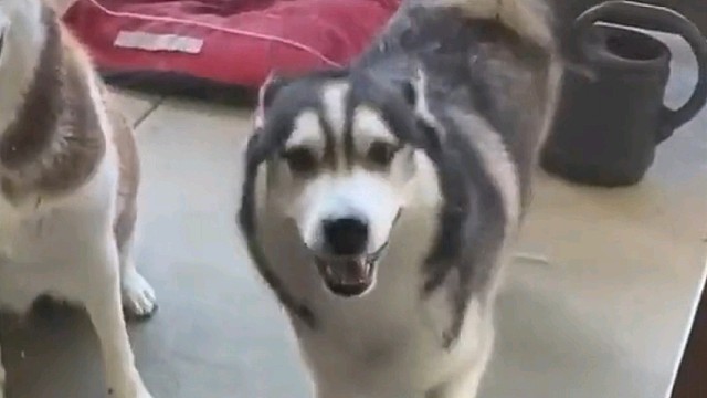 看！这就是学习深造后的！