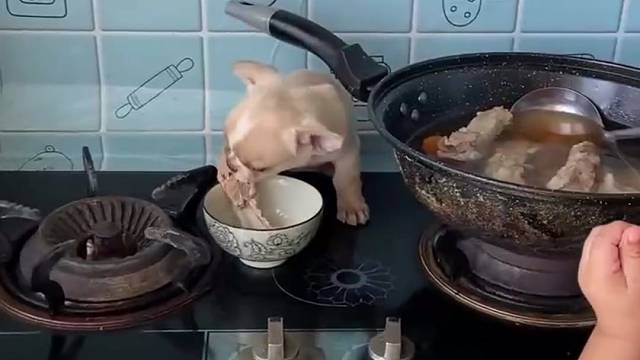 妈妈看到估计……