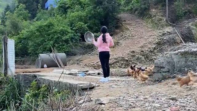 为了多吃上一口，都学会飞了