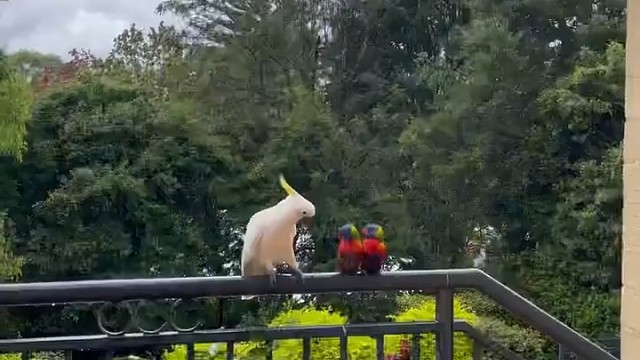 “拆散一对是一对”