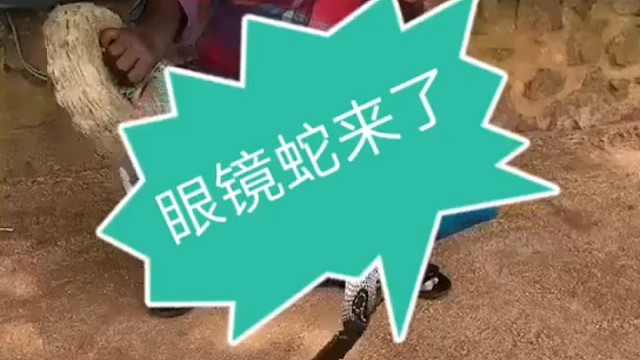 非洲的杂技表演，非专业人士，请勿模仿