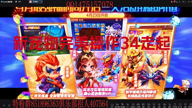 新宠物开车现场