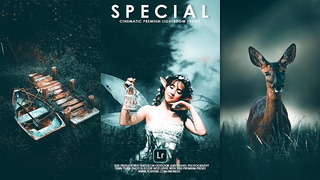 INS风格深蓝色调人像动物风光Lr调色教程，附手机滤镜Lightroom+PS预设下载！