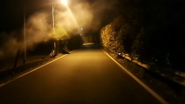 想念科特威里大果盘儿了