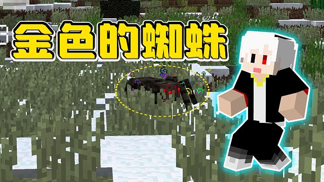 我的世界重生危机23：出现一只金色名字的蜘蛛，对我的羊虎视眈眈