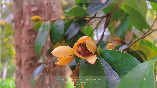 你会是照亮我生活中的那束光吗