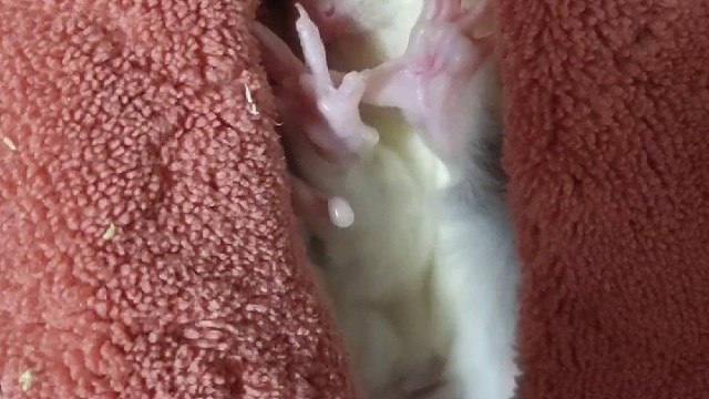 谁知道这是什么宝贝