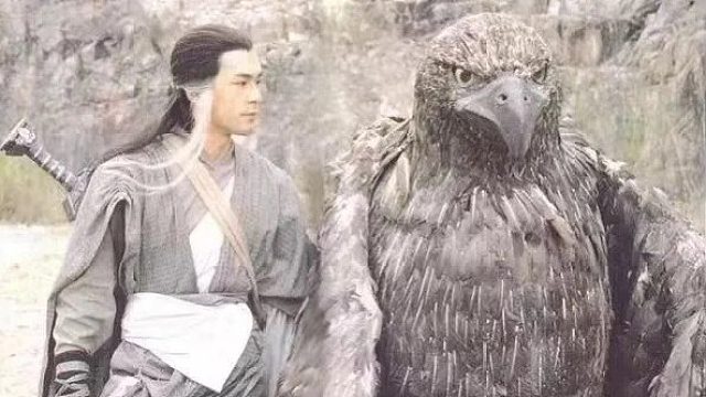 鸟德BT有雕的地方就有杨过