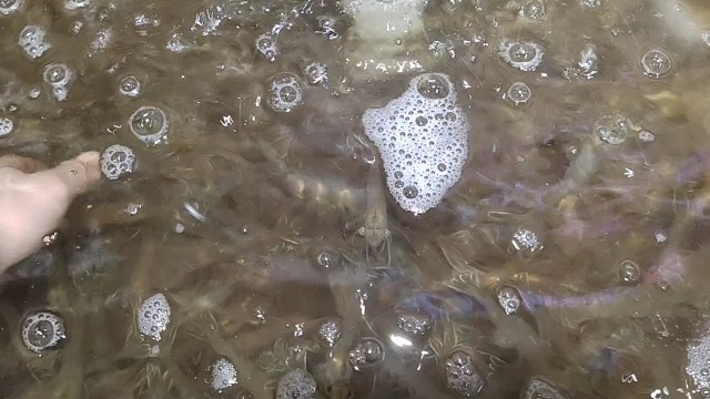 我发布了一个新视频，快来围观吧！