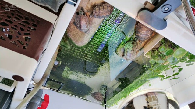 拉完臭臭自己闻闻