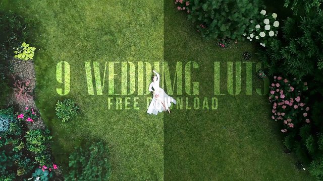 Luts预设 9组婚礼MV影片常用调色预设 多场景 Wedding LUT