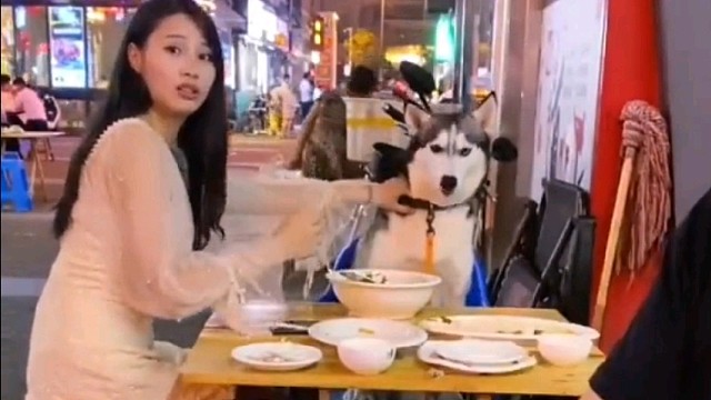 说我兄弟是狗可以，说屌丝不行！