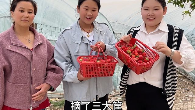 农村燕子草莓园秀恩爱，满满甜蜜爱情，妞妞特意给生病婆婆带回来