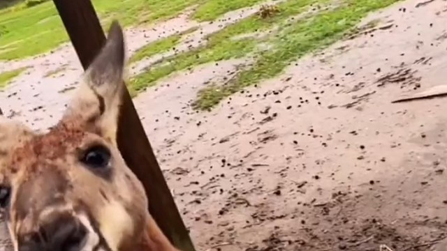 健身教练看了自愧不如