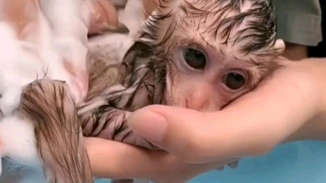 被萌到还是被吓到？