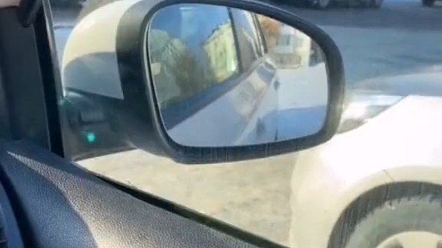 最后一只：请打开麦克风交流