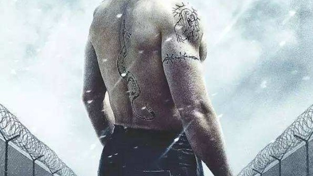 电影名叫终极斗士。