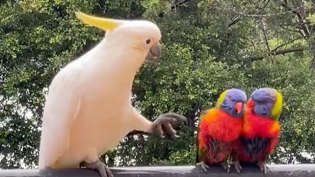 “拆散一对是一对”