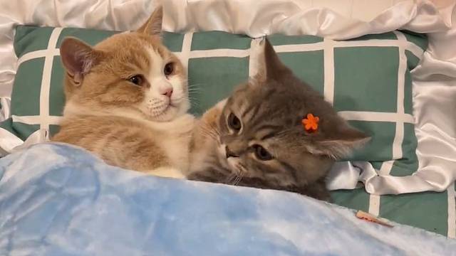 男女生，生气的区别是不是都长这样