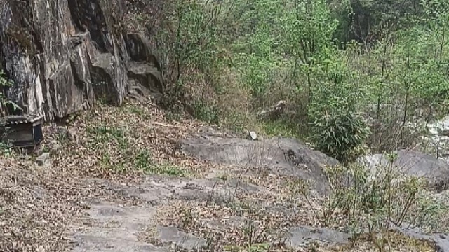 家乡的风景