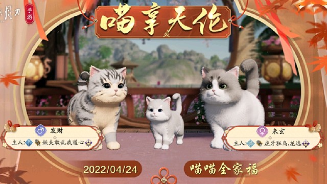 猫咪玩法之生小猫