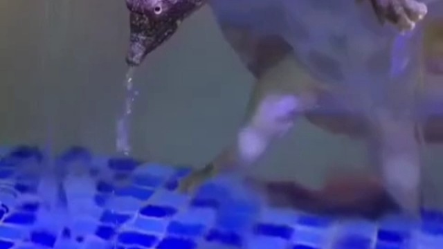 慢慢吐酸水吧，看你能撑多久！