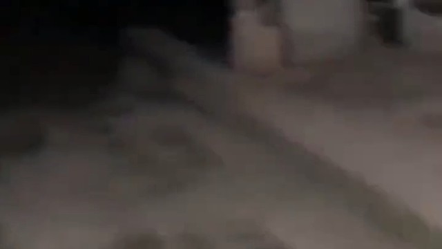 狗子打架没人帮，竟然这样