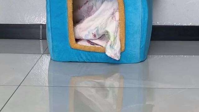 快送去学校，别耽误了