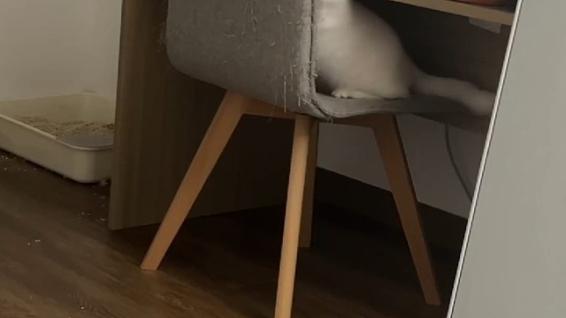 干嘛！我才没生气！