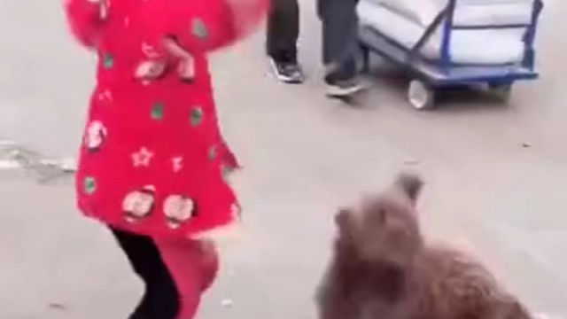 狗：我为这个家承担了所有