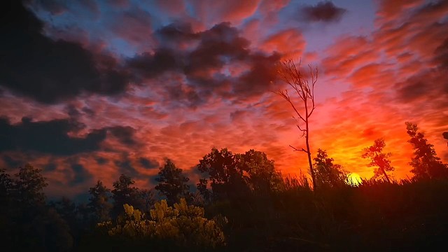 时光不会倒退，你我也再无重聚的机会，世界就是这么奇妙，在意的反而更容易失去