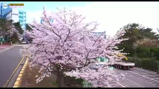 韩国釜山国立大学