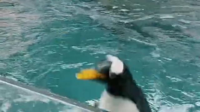 我也没想到我就出来了