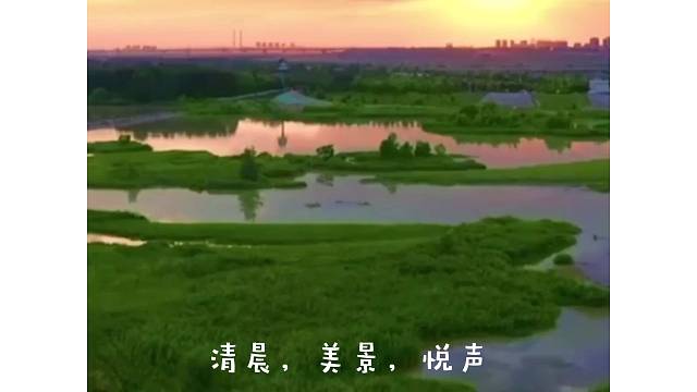 清晨的美景，鸟儿的叫声，美得让人窒息