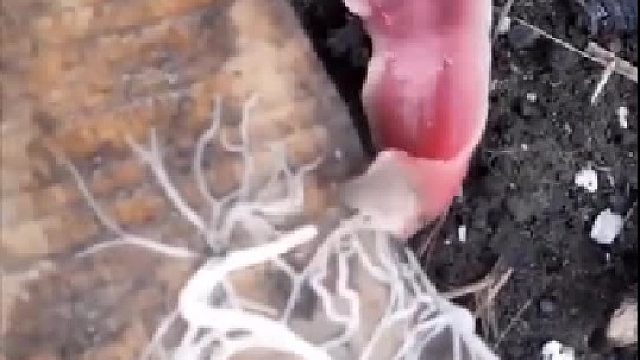 这是毒液中国分液吗？