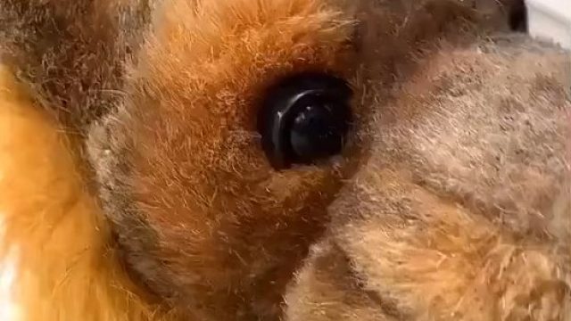 可恶 我什么时候中了幻术