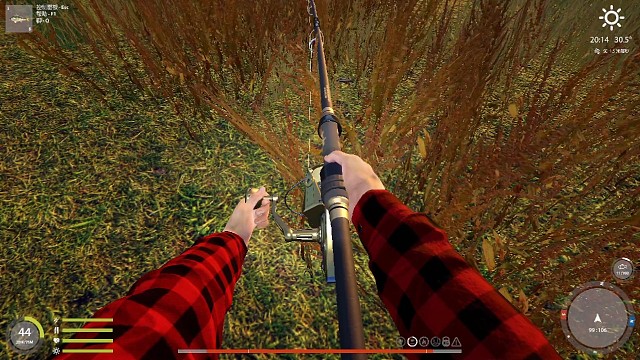 菜的抠脚的起鱼（451公斤欧鳇）