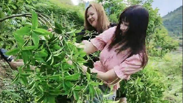 为了玩这个也太拼了