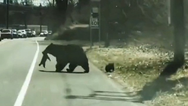 孩子多了确实费神
