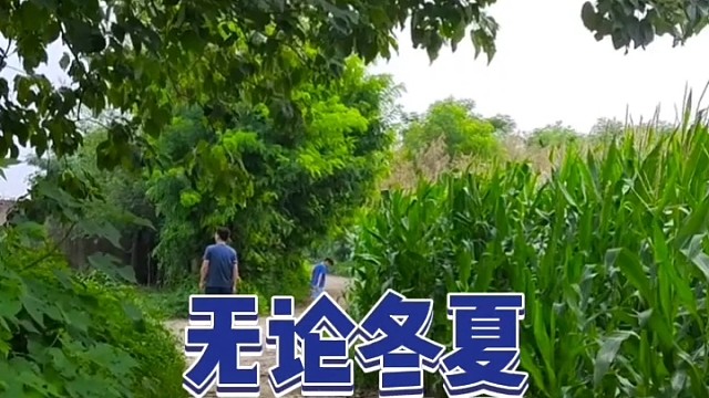 尿激酶与乌丝他丁