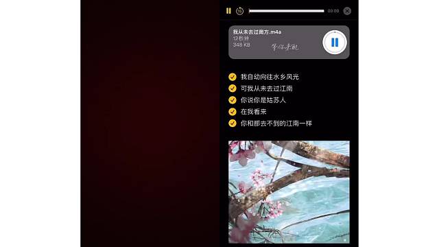 是谁多事种芭蕉，早也潇潇，晚也潇潇。