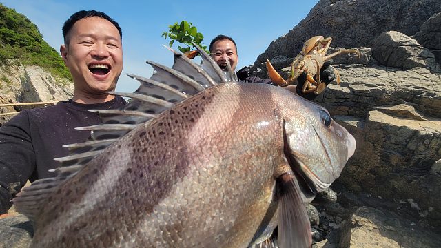 每次盘螃蟹坑都是大丰收，这次也不例外，大伙还被罕见大货惊到了