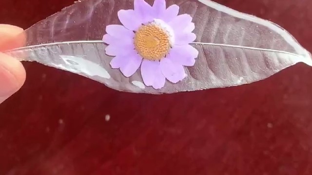 树叶上面涂上UV胶，你就可以得到一片纹理叶#硅宁科技#卡速特UV水晶滴胶#DIY滴胶#手工制作