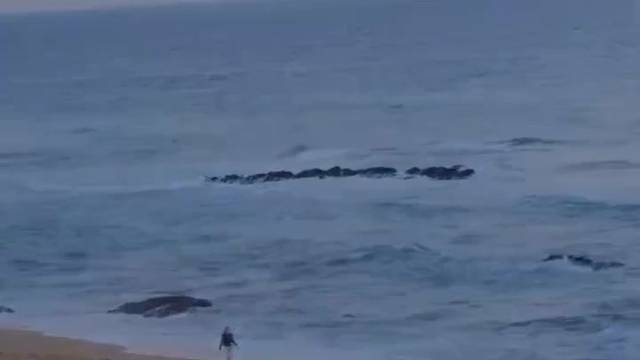 快乐有迹可循，热爱漫无边际