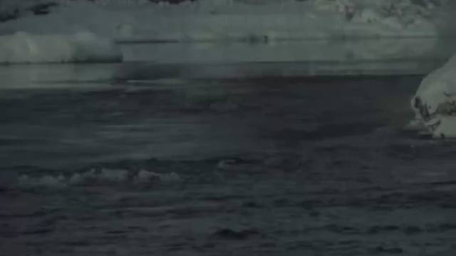 愿你三冬暖，愿你春不寒，愿你雨天有伞，愿你温而善，愿你心不烦，愿时光能缓，愿你余生有良人相伴！